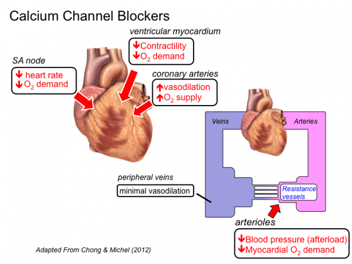 calcium channel re.