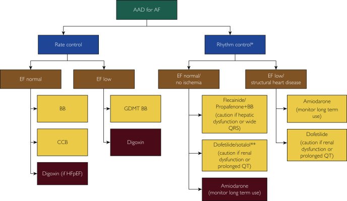 This blog mention detail info Atrial flutter treatment, Paroxysmal afib, Paroxysmal atrial fibrillation, Heart ablation for afib, Afib ablation procedure.
