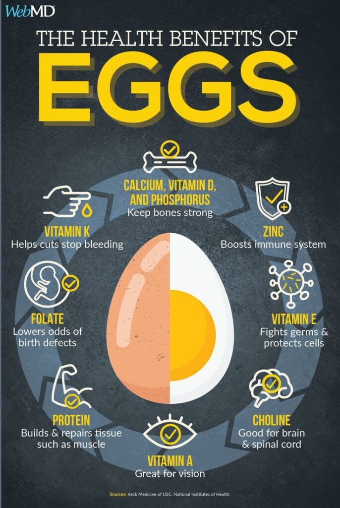 Enjoy this info Calories are in an egg, Calories egg, Egg whites nutrition, Boiled egg calories, Nutrition in eggs