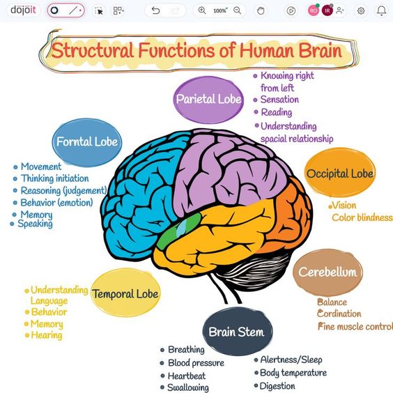 Please read How to help improve memory, How can i improve memory, How to improve your memory, How to improve my memory, What helps with brain fog.
