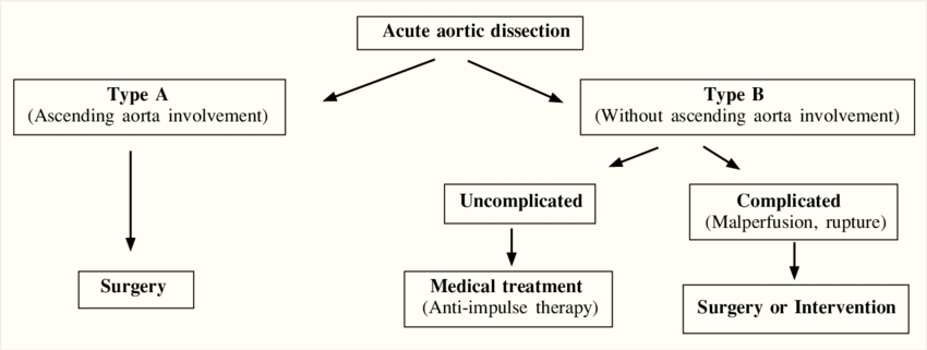 Please read this Acute aortic dissection, Aortic artery dissection, Aortic dissection disease, Aortic dissection treatment, Aortic dissection symptoms.
