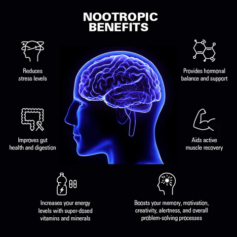 Enjoy the best info Nootropic supplement, Nootropics for adhd, Best nootropics, Best nootropic supplement, Thesis nootropics.
