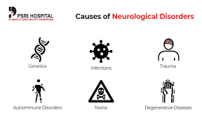 Please read this importance info Anxiety and the brain, OCD brain, Anxiety brain, Anxiety and foggy brain, Anxiety on brain.