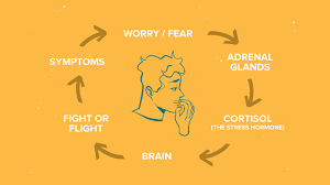 symptoms of health anxiety