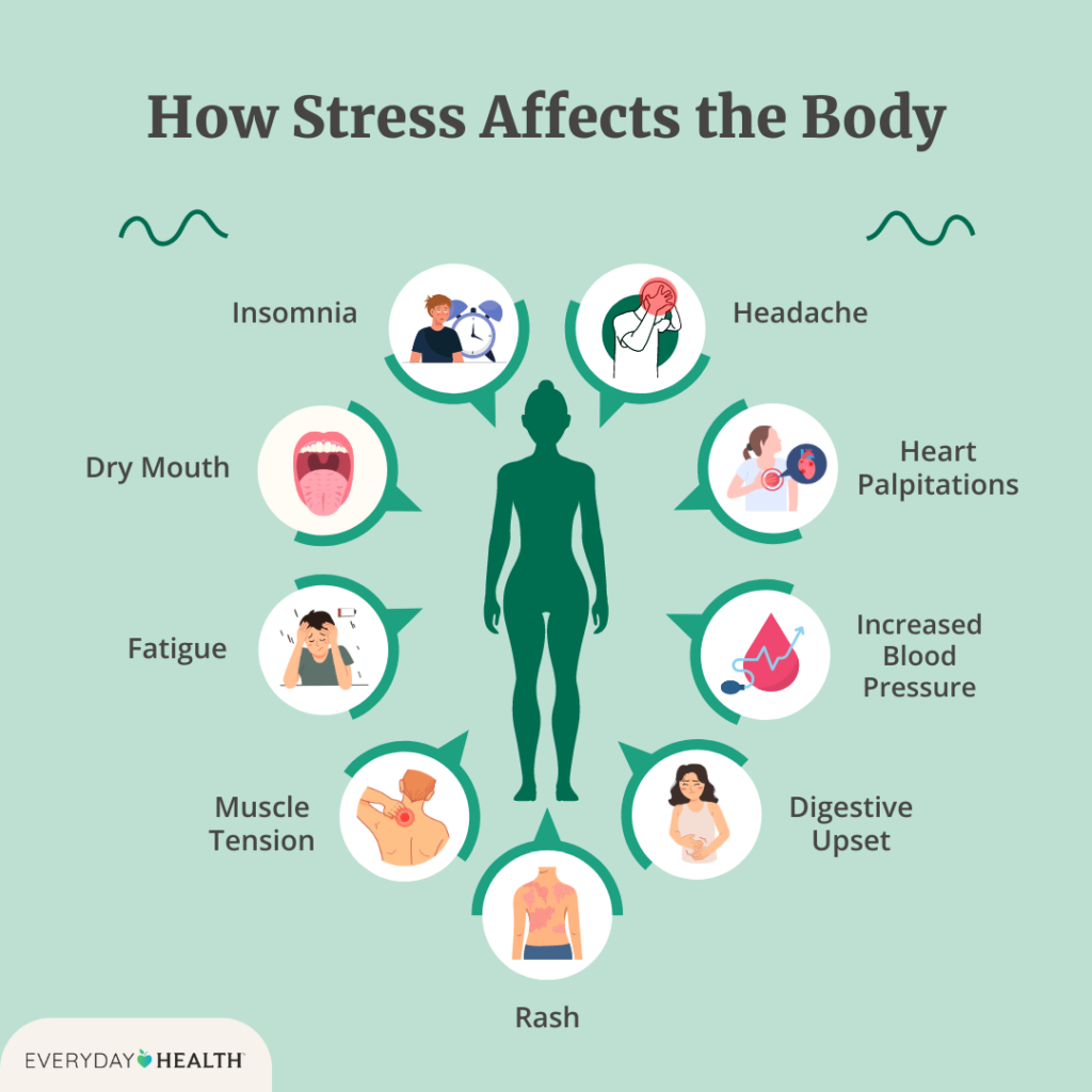 Please read this importance info Anxiety and the brain, OCD brain, Anxiety brain, Anxiety and foggy brain, Anxiety on brain.