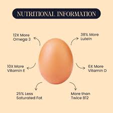 Please read this brown eggs vs white eggs, Are brown eggs better, Brown egg or white egg, Are brown eggs better for you, Brown vs white eggs.