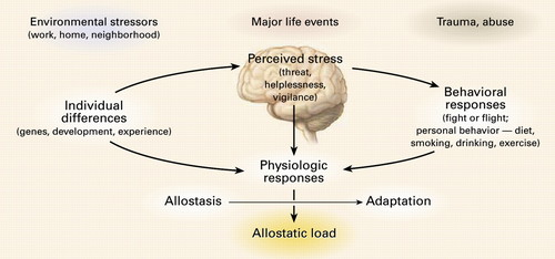 Please read this What does stress do to the brain, Stress on brain, Can stress kill brain cells, Does stress kill brain cells, Effect of stress on mind.
