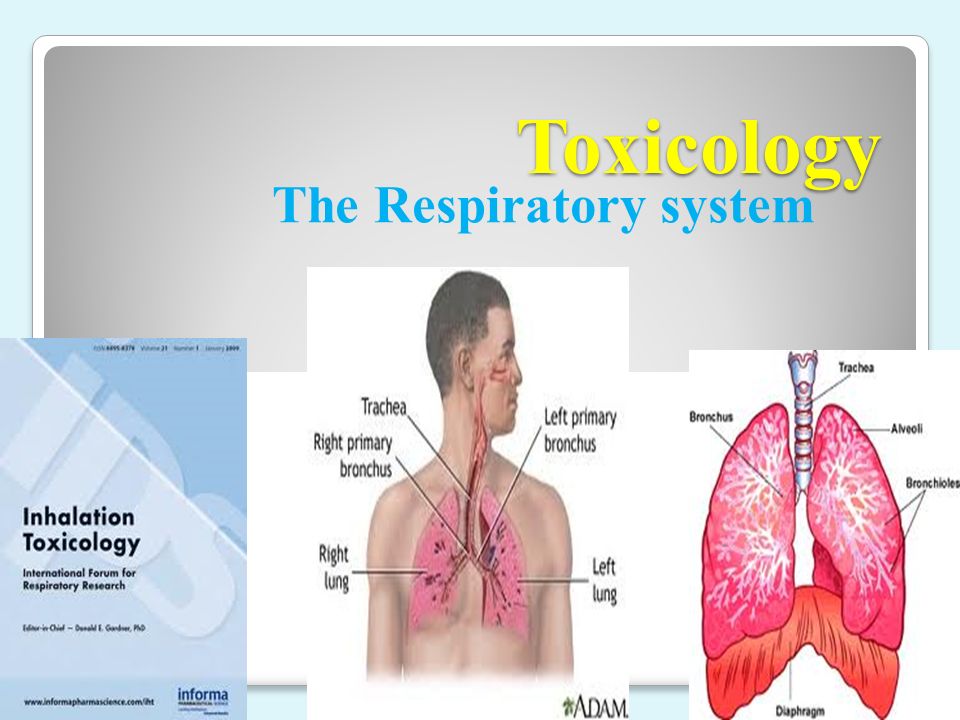 Enjoy the best info Fibrosis of the lungs, Amio lung toxicity, Pulmonary fibrosis, Amiodarone side effects, Pulmonary fibrosis treatment.