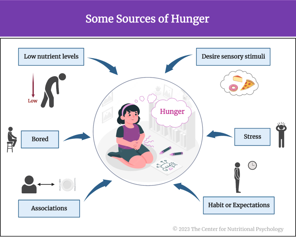 Please read this info Can anxiety cause hunger, Can anxiety make you hungry, Can anxiety make you not hungry, Can being hungry cause anxiety, Does hunger cause anxiety.
