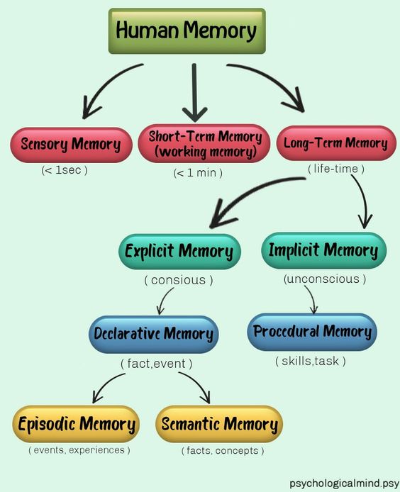 This is great information about Philosophy of mind, Study of the brain, Habits of mind, Subconscious mind, Creative brain.
