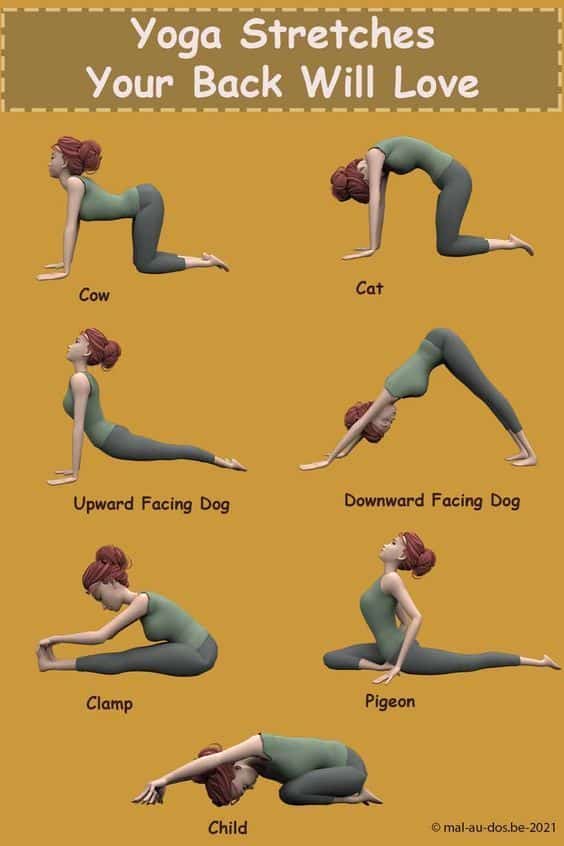 Enjoy the importance info Yoga for lower back pain, Yoga back stretches, Yoga back roller, Yoga for back, Yoga back pain.