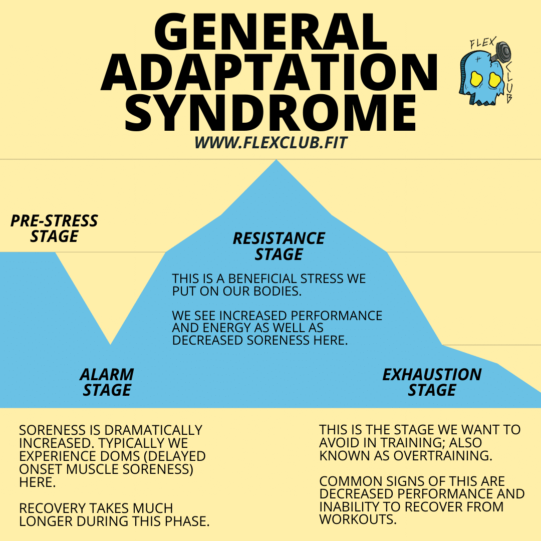 General adaptation syndrome stages, Selye's general adaptation syndrome, General adaptation syndrome, Adaptation syndrome, Gas model of stress.