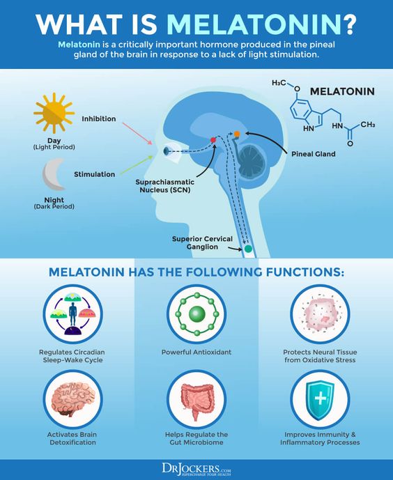 This Blog Focus On How much melatonin is too much, Melatonin too much, Melatonin overdose, Melatonin how much, Too much melatonin.