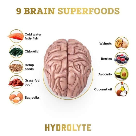 Please Read This Great Info Which Help You a Lot Best brain food, Brain food, Mind diet, Foods for brain function, Food on the brain.