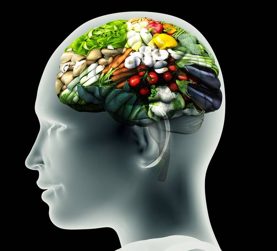 Please Find more detail about good vitamins for brain function, food good for brain health, food good for brain, best food brain, foods to help brain function.