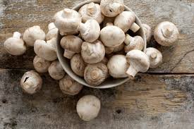 mushroom is good for diabetic patients