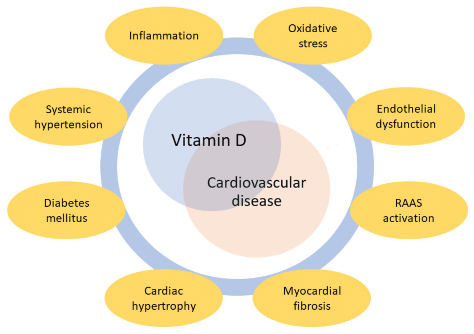 Vitamin D and Statins: Exploring the Link and Health Benefits