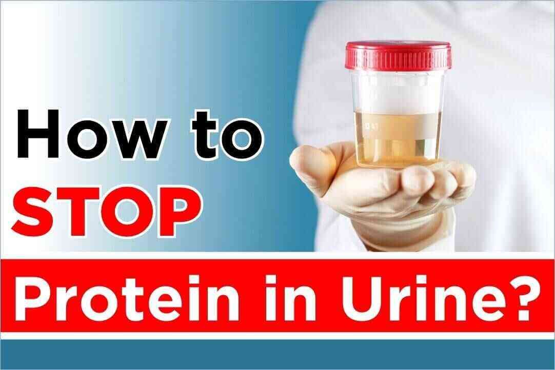 protein in urine