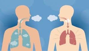 Dyspnea: Understanding Breathing Difficulties