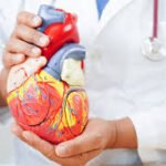 Heart Disease: Understanding the Leading Causes.