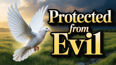 Explore details about Spiritual protection over fear, Sspiritual power, overcoming fear, black magic healing, survival rituals,