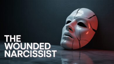 the wounded narcissist wounded narcissist the narcissistic wound