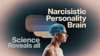 narcissistic personality brain differences, brain differences narcissistic personality, narcissistic brain structure, narcissism vs empathy brain differences, narcissistic brain abnormalities