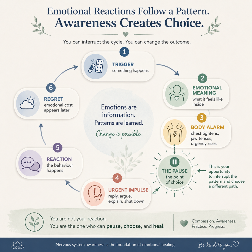 Emotional reaction and regret cycle showing trigger, body activation, impulsive reaction, regret, and the pause point.