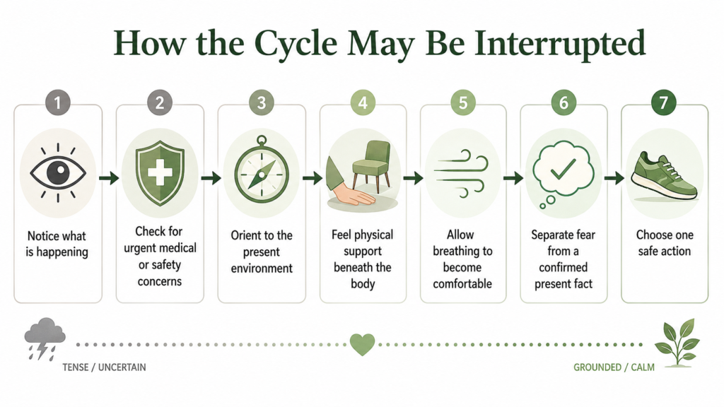 Seven-step guide to interrupt a panic cycle using safety checks, grounding, comfortable breathing, facts, and one safe action