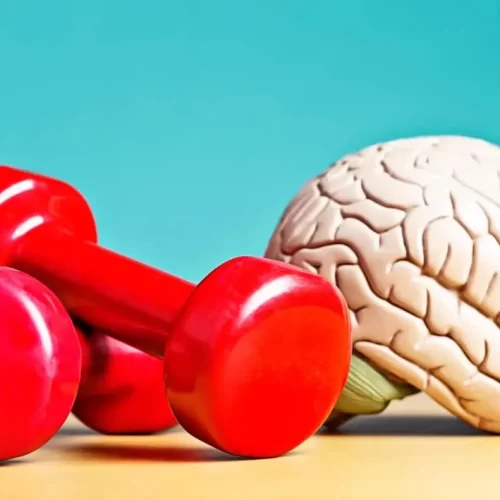 Brain Workout – Bioandbrainhealth