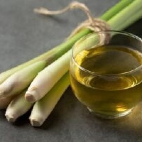 Can You Eat Raw Lemongrass?